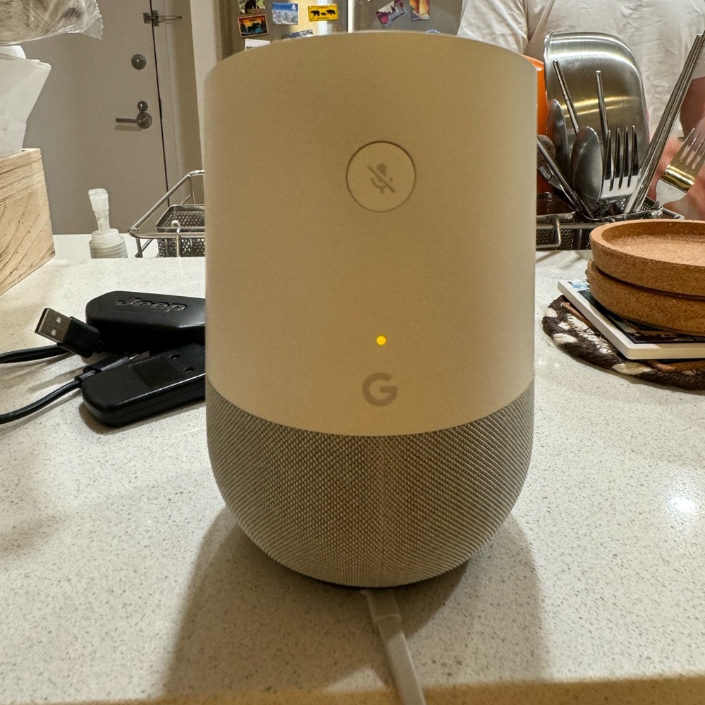 Google home